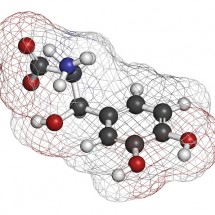 Droxidopa (L-DOPS) hypotension (low blood pressure) drug molecule.